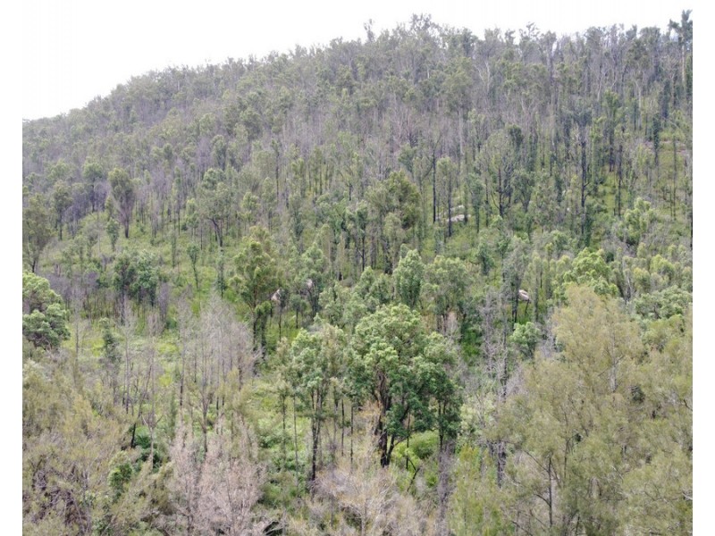 Lot 50 & 61, 3239 Armidale Road, Blaxlands Creek NSW 2460