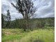 Lot 50 & 61, 3239 Armidale Road, Blaxlands Creek NSW 2460