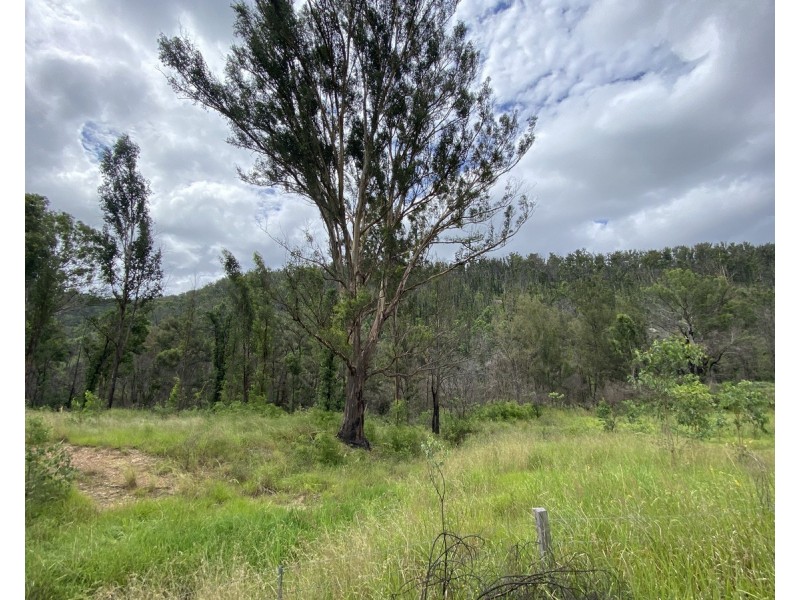 Lot 50 & 61, 3239 Armidale Road, Blaxlands Creek NSW 2460
