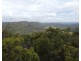 Lot 50 & 61, 3239 Armidale Road, Blaxlands Creek NSW 2460