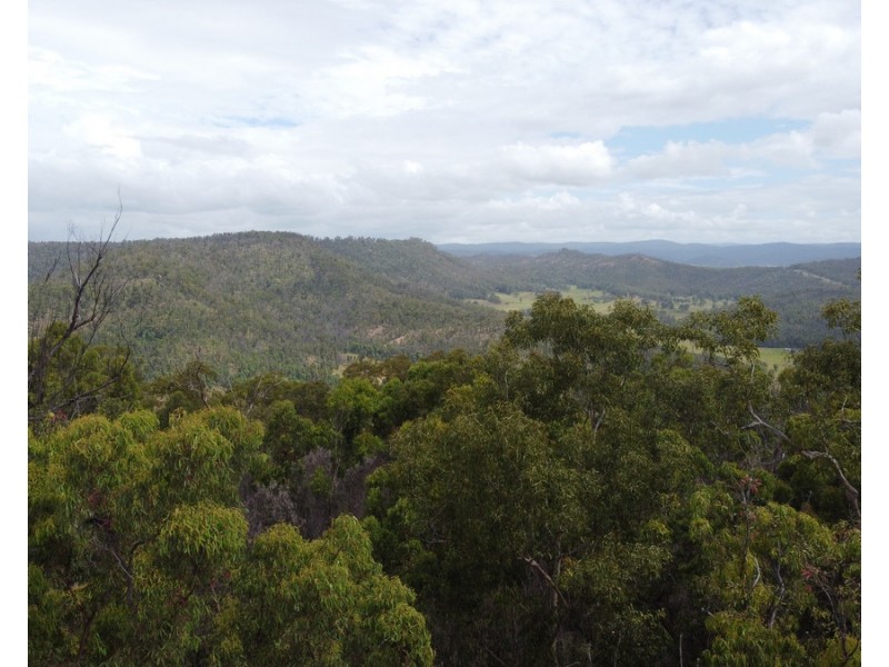 Lot 50 & 61, 3239 Armidale Road, Blaxlands Creek NSW 2460