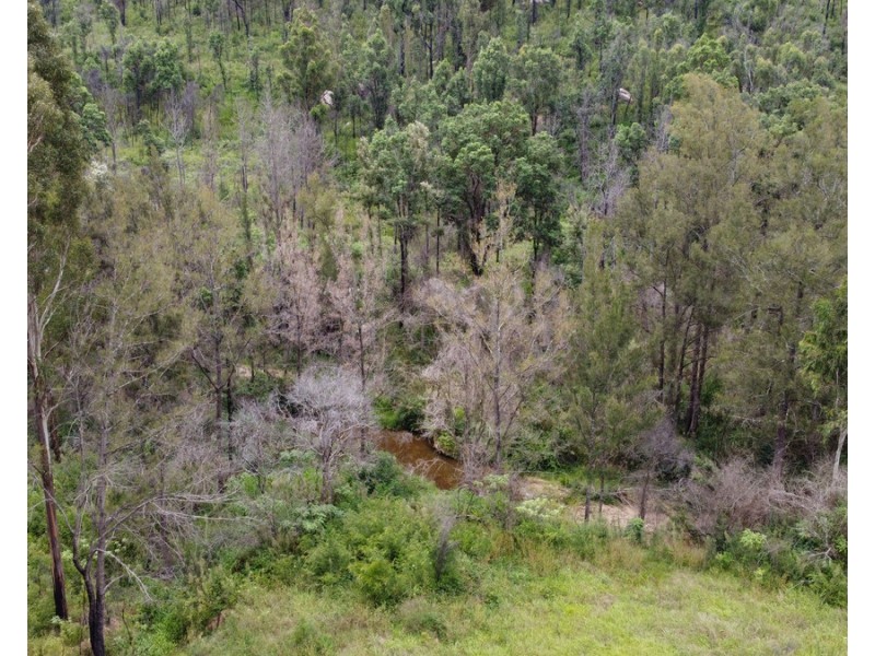 Lot 50 & 61, 3239 Armidale Road, Blaxlands Creek NSW 2460