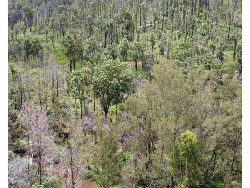 Lot 50 & 61, 3239 Armidale Road, Blaxlands Creek NSW 2460