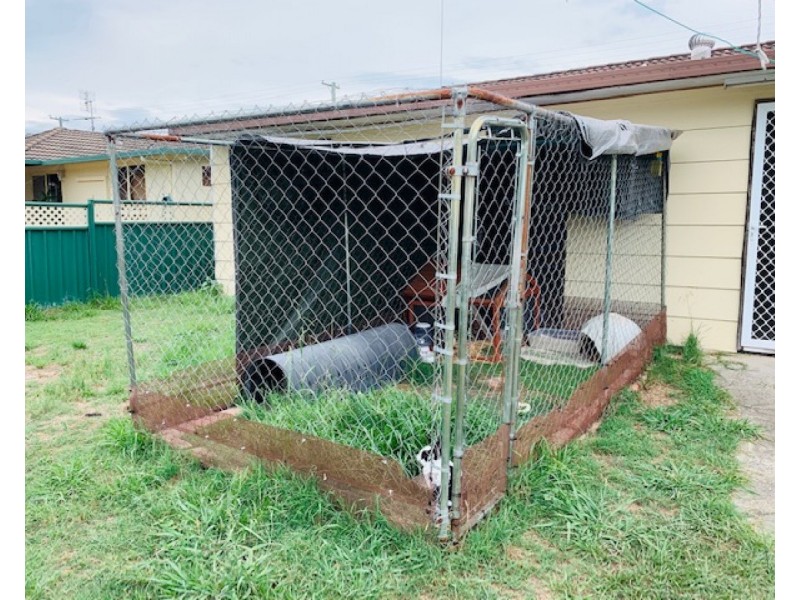 56 Lakkari Street, Coutts Crossing NSW 2460