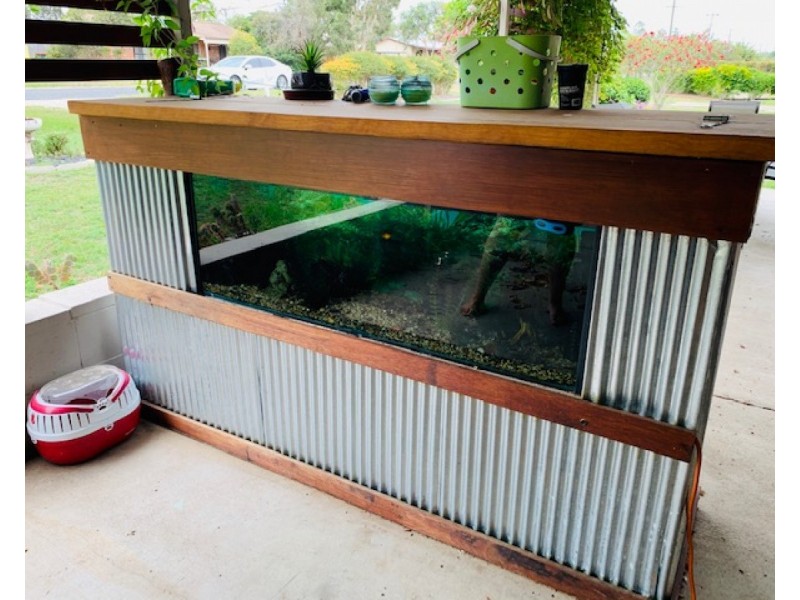 56 Lakkari Street, Coutts Crossing NSW 2460