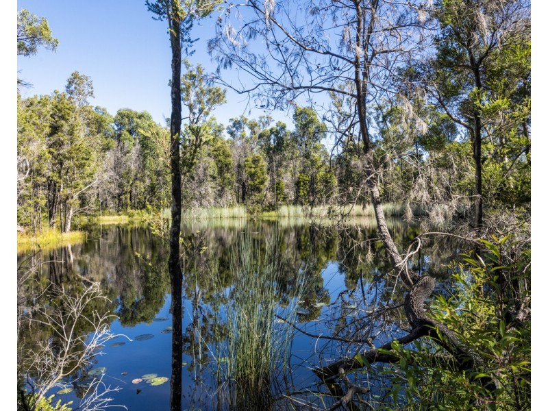 1118 Brooms Head Road, Taloumbi NSW 2463
