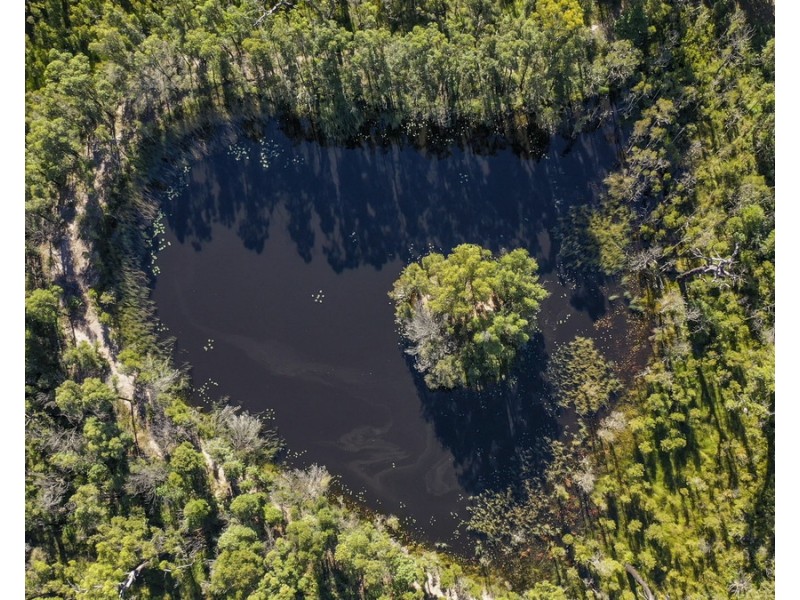 1118 Brooms Head Road, Taloumbi NSW 2463