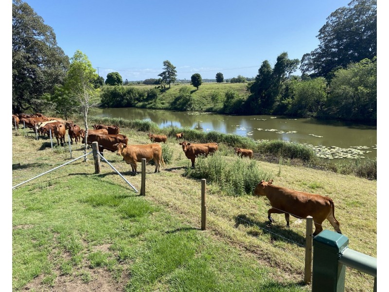 106 Carrs Island Road, Carrs Island NSW 2460