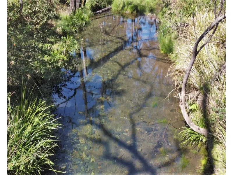 6892 Gwydir Highway, Cangai NSW 2460