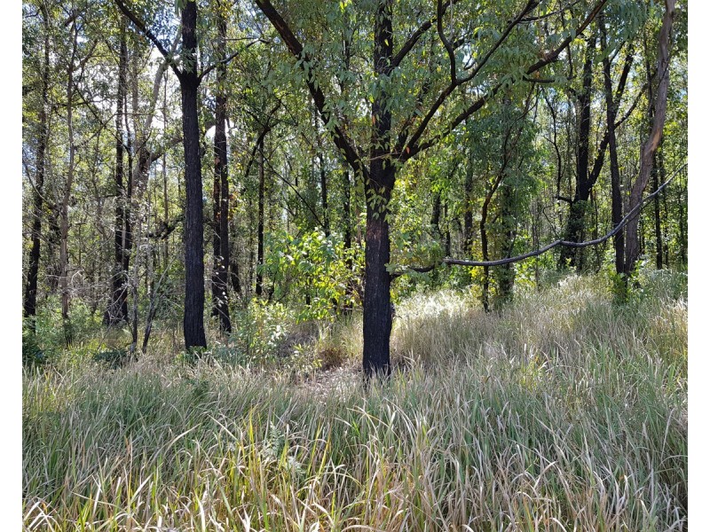 6892 Gwydir Highway, Cangai NSW 2460