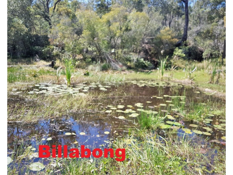 893 Coaldale Road, Fortis Creek NSW 2460