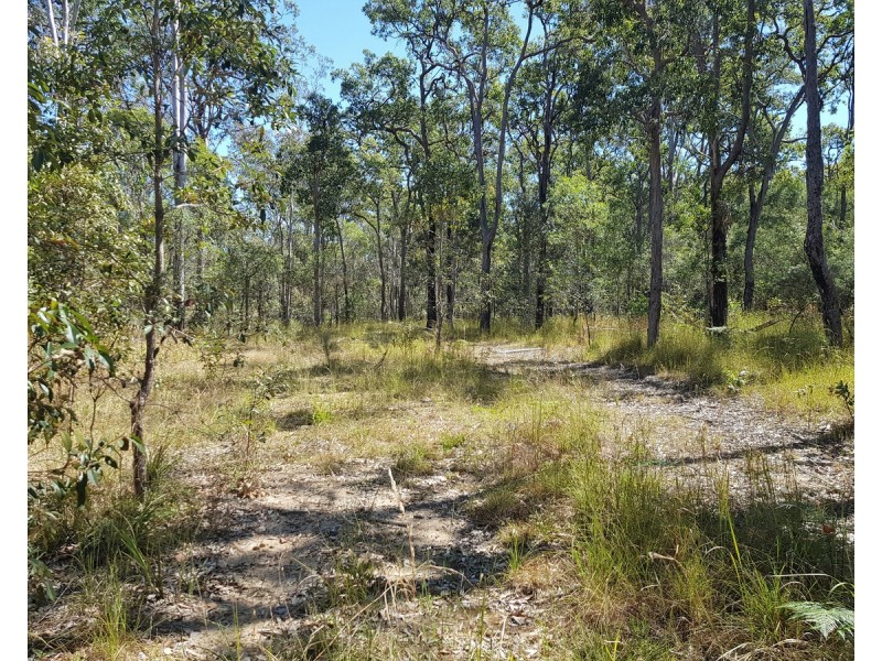 893 Coaldale Road, Fortis Creek NSW 2460