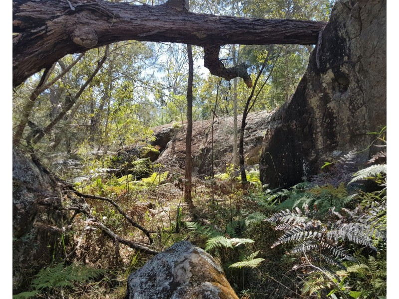 893 Coaldale Road, Fortis Creek NSW 2460