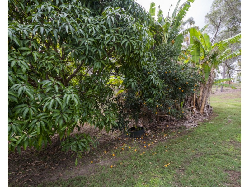 5 Bream Place, Seelands NSW 2460