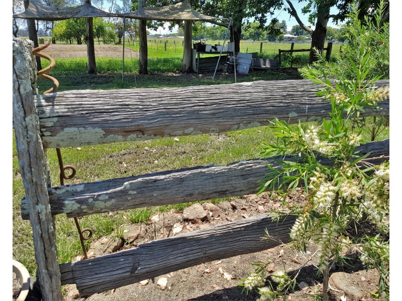 125 Skinner Street, South Grafton NSW 2460