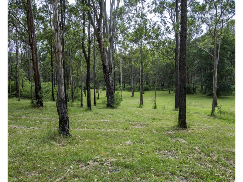 Lot 81, Clearview Road, Kangaroo Creek NSW 2460