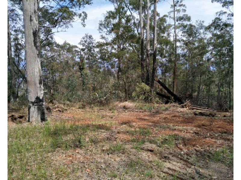 1015 Grange Access Road, Jackadgery NSW 2460