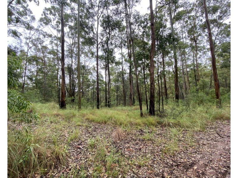 1015 Grange Access Road, Jackadgery NSW 2460