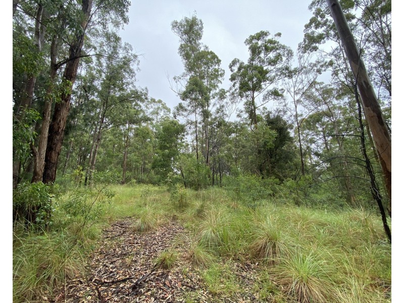 1015 Grange Access Road, Jackadgery NSW 2460