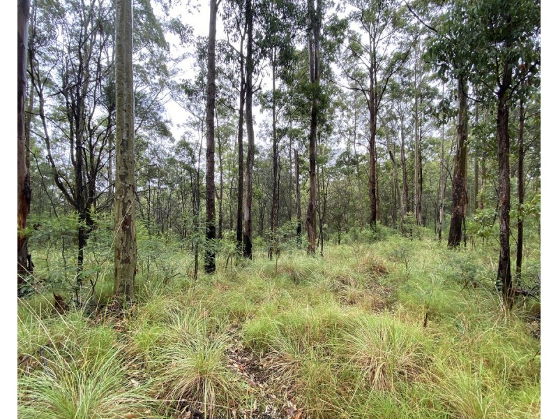 1015 Grange Access Road, Jackadgery NSW 2460