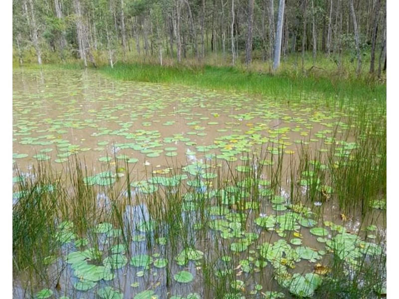 40 Tindal Road, Eatonsville NSW 2460