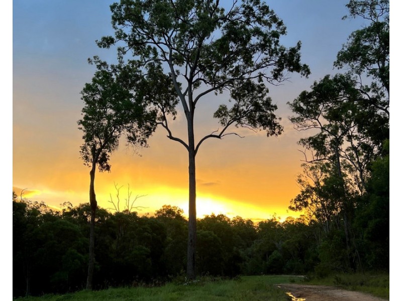 79 Sanders Road, Moleville Creek NSW 2460