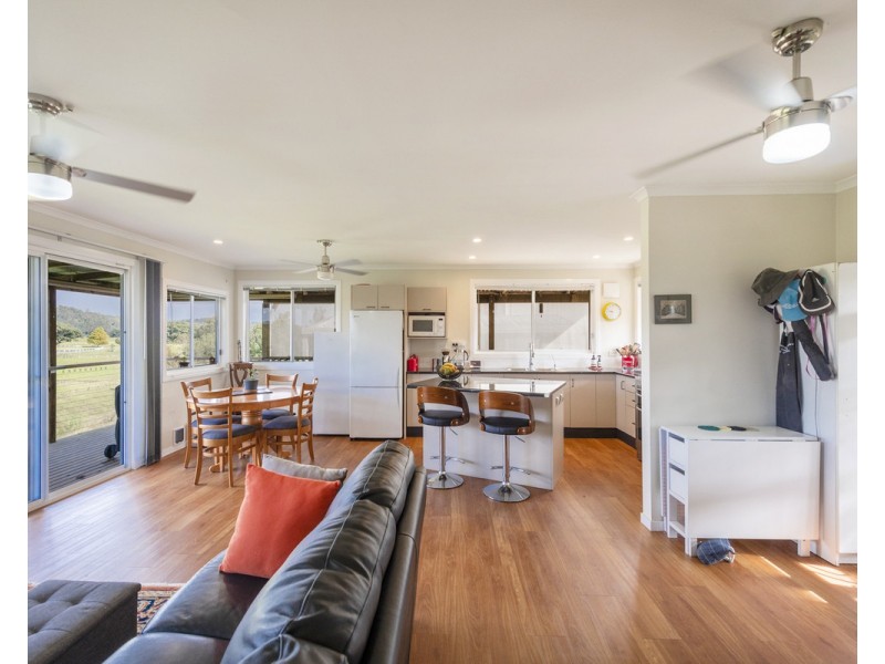 41 Grafton Street, Copmanhurst NSW 2460