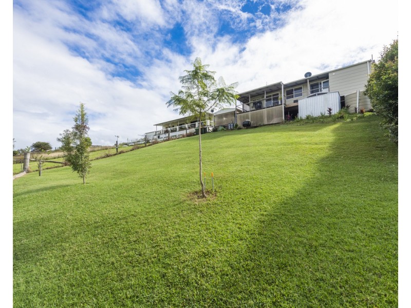 41 Grafton Street, Copmanhurst NSW 2460