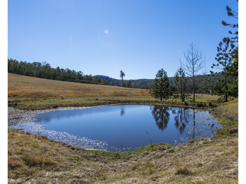 Smiths Creek NSW 2460