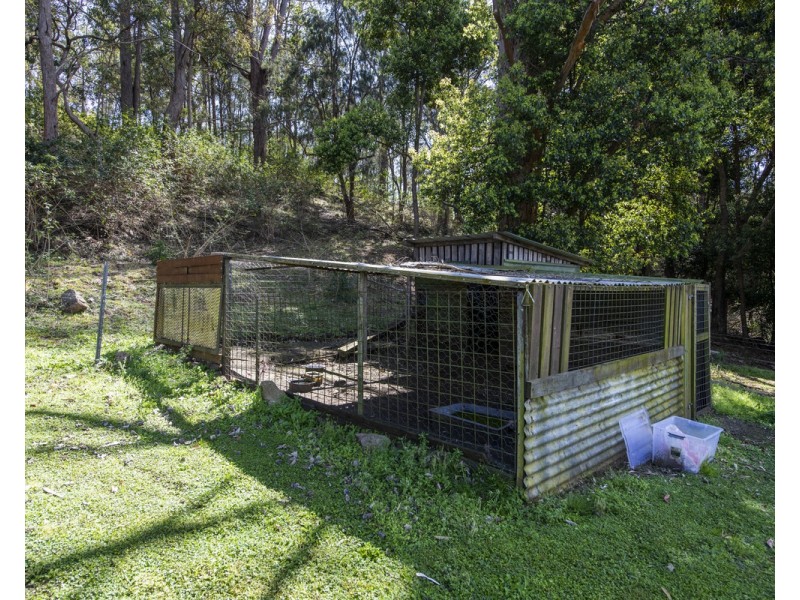 1130 Kangaroo Creek Road, Kangaroo Creek NSW 2460