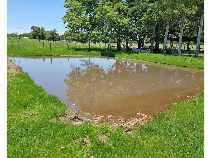 125 Skinner Street, South Grafton NSW 2460