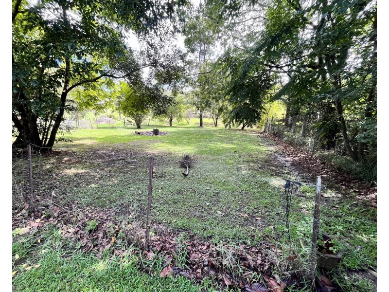 46 Grafton Street, Copmanhurst NSW 2460