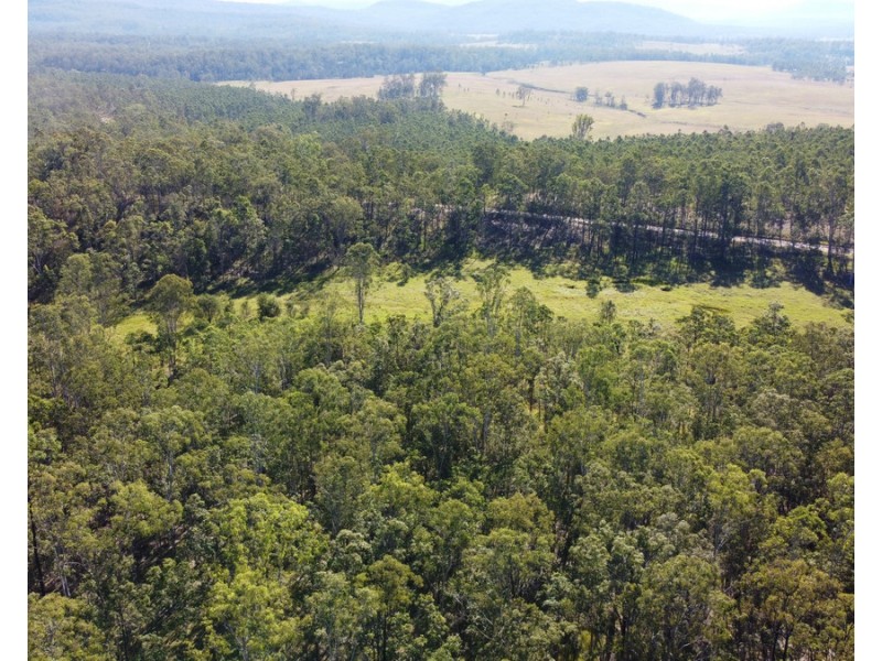 5719 Clarence Way, Upper Fine Flower NSW 2460