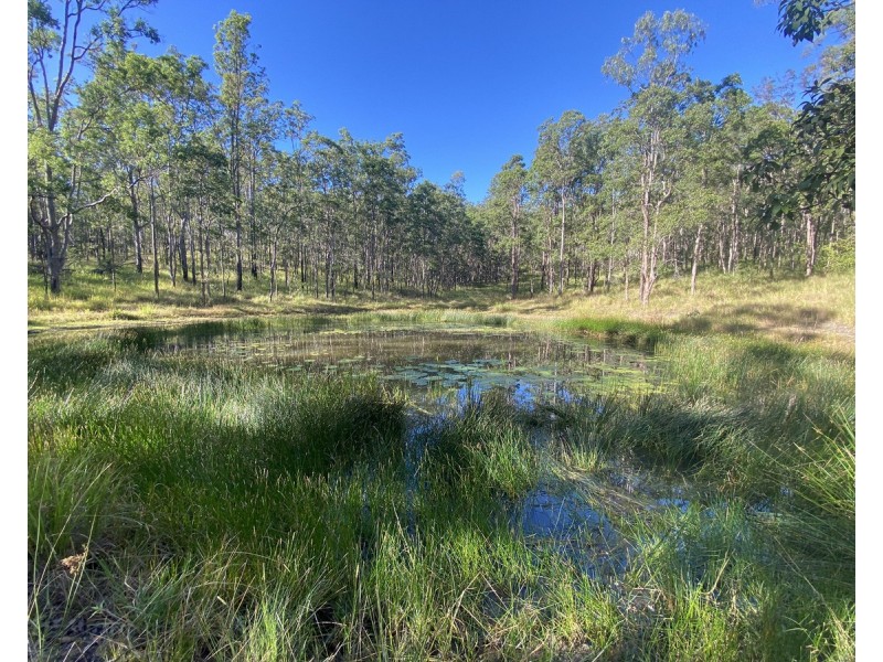 5719 Clarence Way, Upper Fine Flower NSW 2460