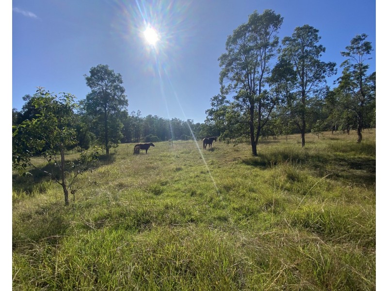 5719 Clarence Way, Upper Fine Flower NSW 2460