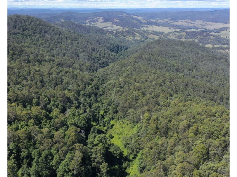 534 Cangai Road, Jackadgery NSW 2460