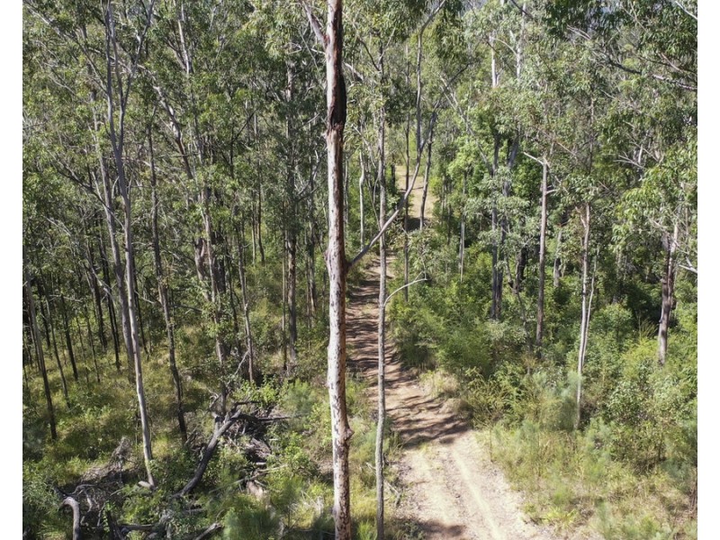 534 Cangai Road, Jackadgery NSW 2460