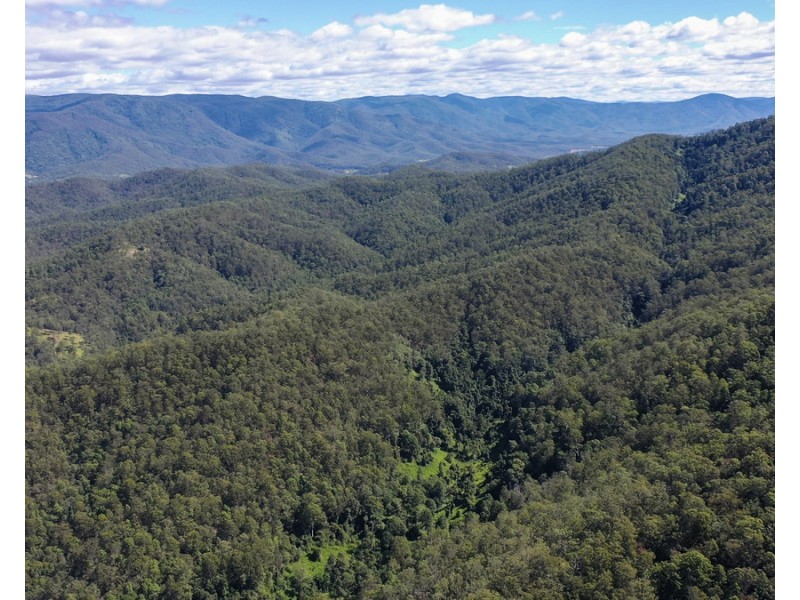 534 Cangai Road, Jackadgery NSW 2460