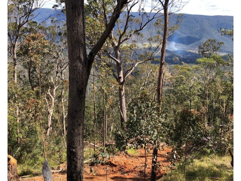 534 Cangai Road, Jackadgery NSW 2460