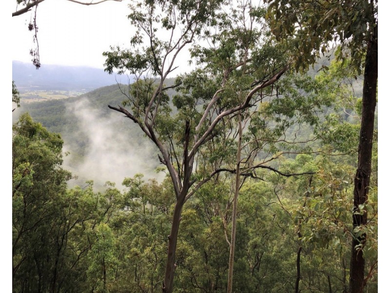 534 Cangai Road, Jackadgery NSW 2460