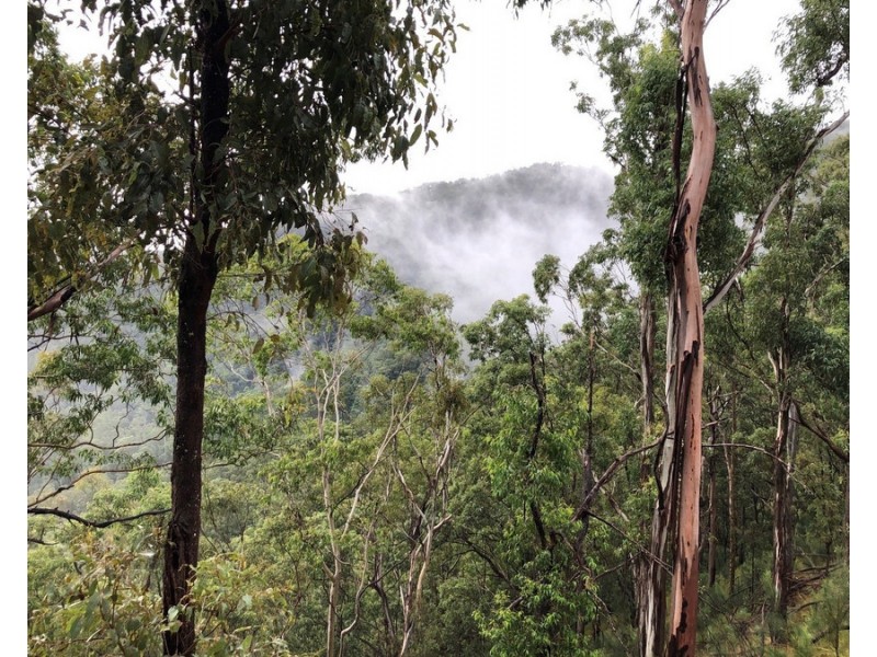 534 Cangai Road, Jackadgery NSW 2460