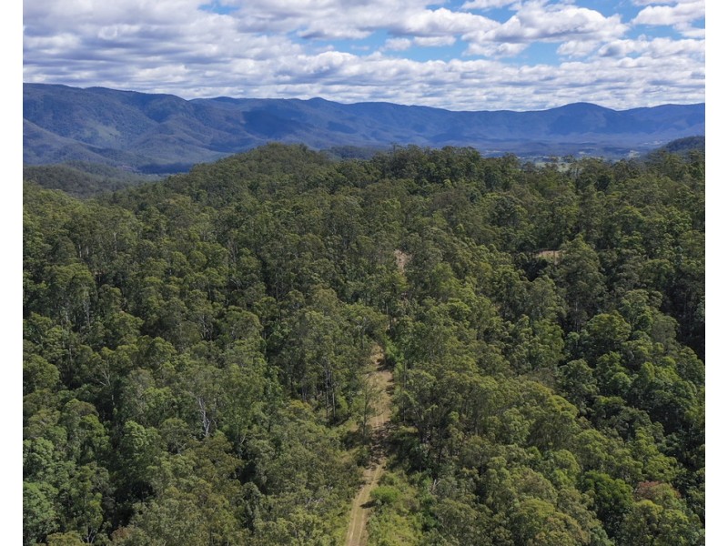 534 Cangai Road, Jackadgery NSW 2460