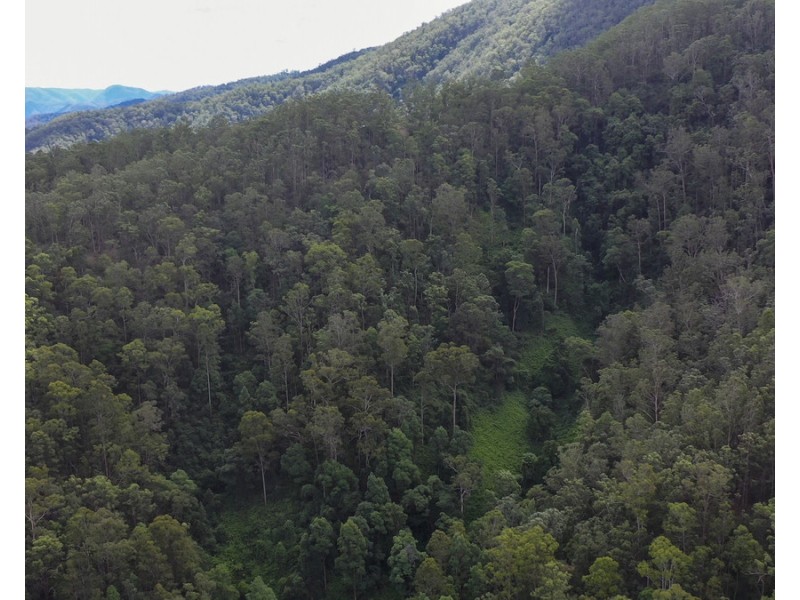 534 Cangai Road, Jackadgery NSW 2460