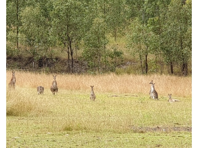 122b Four Mile Lane, Clarenza NSW 2460