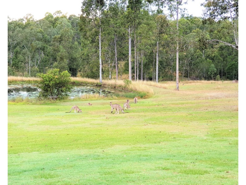 122b Four Mile Lane, Clarenza NSW 2460