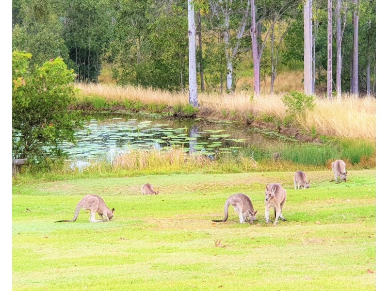 122b Four Mile Lane, Clarenza NSW 2460