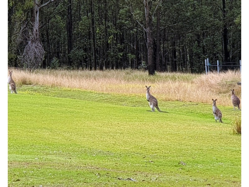 122b Four Mile Lane, Clarenza NSW 2460