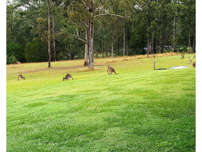 122b Four Mile Lane, Clarenza NSW 2460