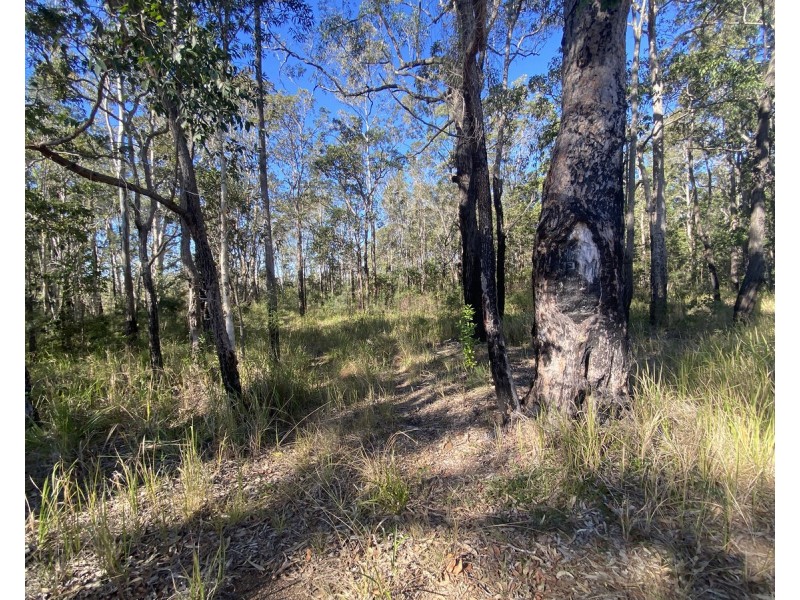 Lot 1,  Wooli Road, Wooli NSW 2462