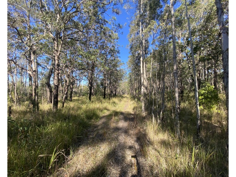 Lot 1,  Wooli Road, Wooli NSW 2462